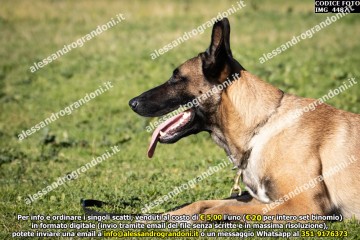 IMG_4487.jpg