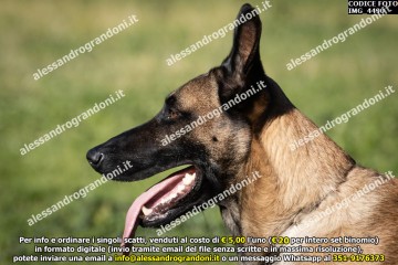 IMG_4490.jpg