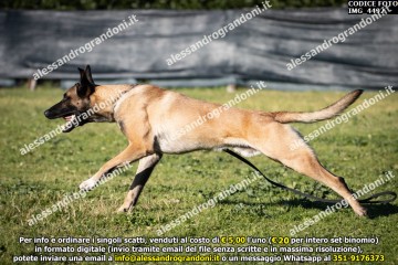 IMG_4492.jpg