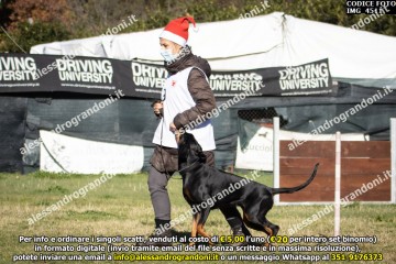 IMG_4511.jpg