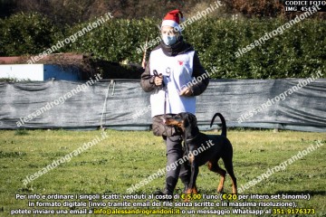 IMG_4515.jpg