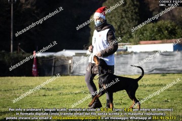 IMG_4517.jpg