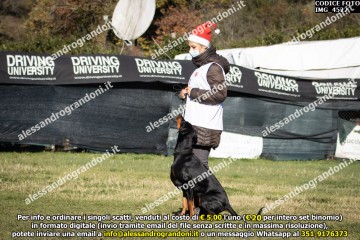 IMG_4522.jpg