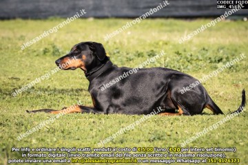 IMG_4531.jpg