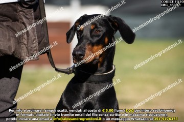 IMG_4538.jpg