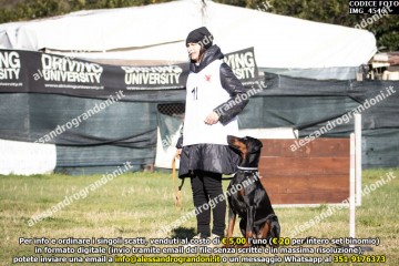 IMG_4546.jpg