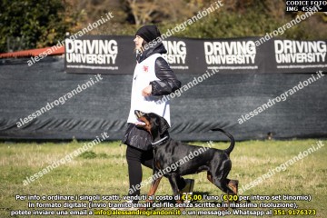 IMG_4550.jpg