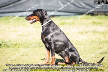 IMG_4552.jpg