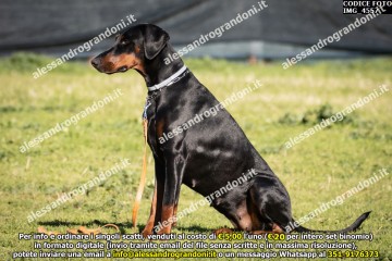 IMG_4557.jpg