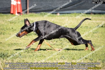 IMG_4559.jpg