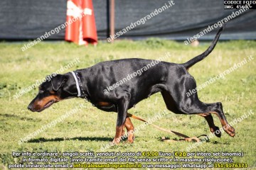IMG_4560.jpg