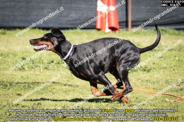 IMG_4561.jpg