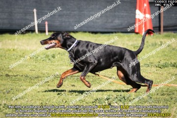 IMG_4562.jpg