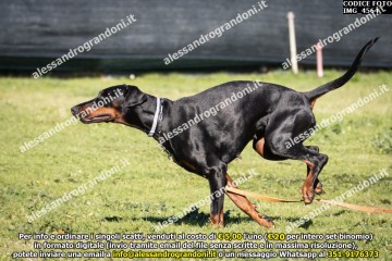 IMG_4564.jpg