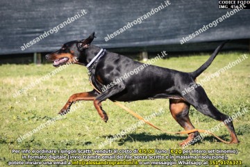 IMG_4567.jpg