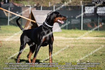 IMG_4571.jpg