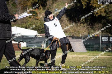 IMG_4580.jpg