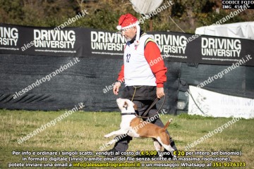 IMG_4591.jpg