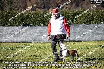 IMG_4599.jpg