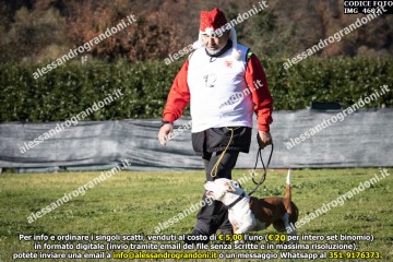 IMG_4602.jpg