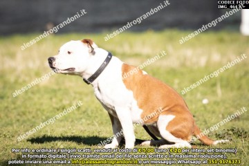 IMG_4613.jpg