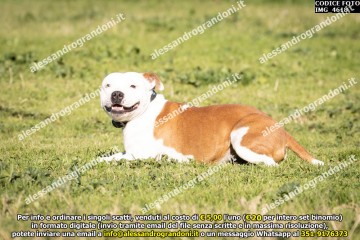 IMG_4618.jpg