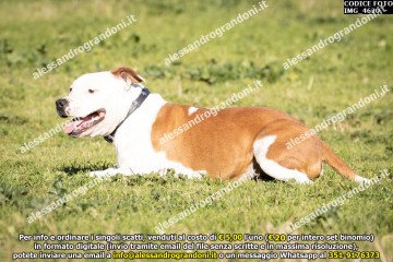 IMG_4620.jpg