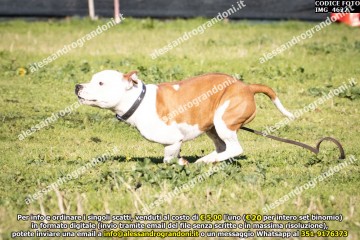 IMG_4622.jpg