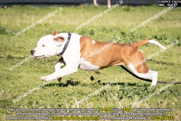 IMG_4623.jpg