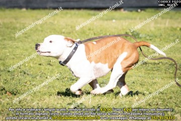 IMG_4625.jpg