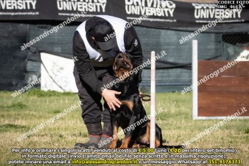IMG_4633.jpg