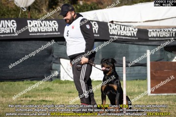 IMG_4636.jpg
