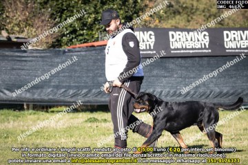 IMG_4637.jpg
