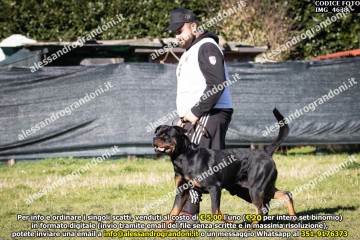 IMG_4638.jpg
