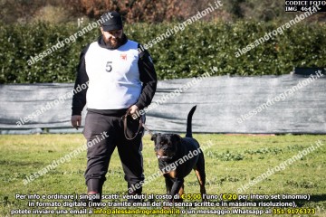 IMG_4642.jpg