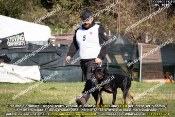 IMG_4646.jpg