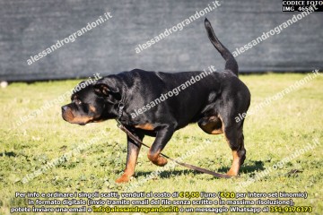 IMG_4658.jpg