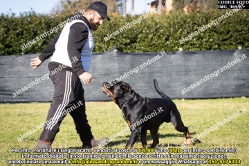 IMG_4659.jpg