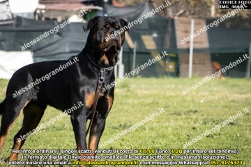 IMG_4660.jpg