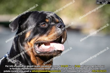 IMG_4664.jpg