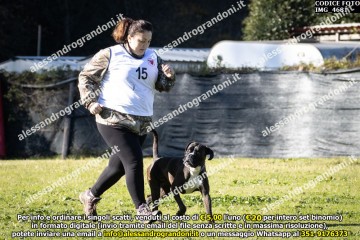 IMG_4681.jpg