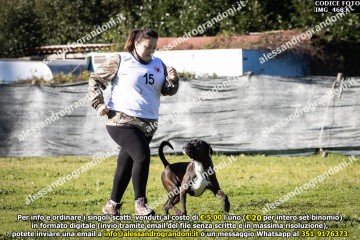 IMG_4683.jpg