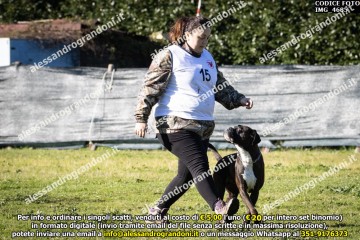 IMG_4685.jpg
