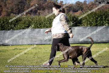 IMG_4691.jpg