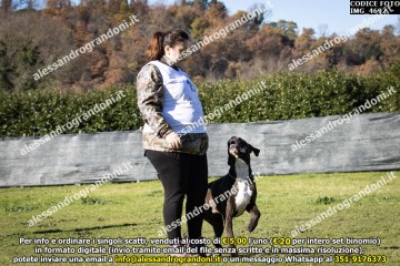 IMG_4692.jpg