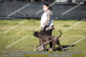 IMG_4698.jpg