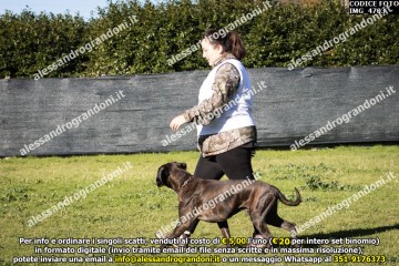 IMG_4703.jpg