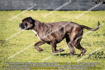 IMG_4706.jpg