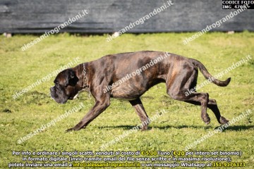 IMG_4708.jpg