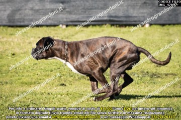 IMG_4709.jpg